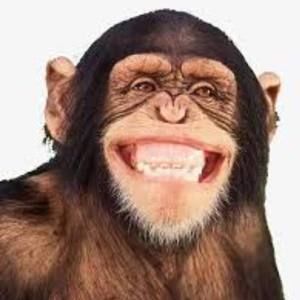 Meet your Posher, Vu